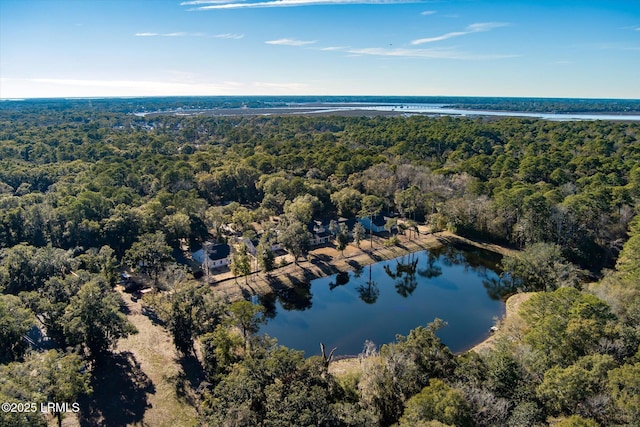 41 Fairfield Rd, Beaufort, SC 29907 - bird's eye view with a water view and a view of trees