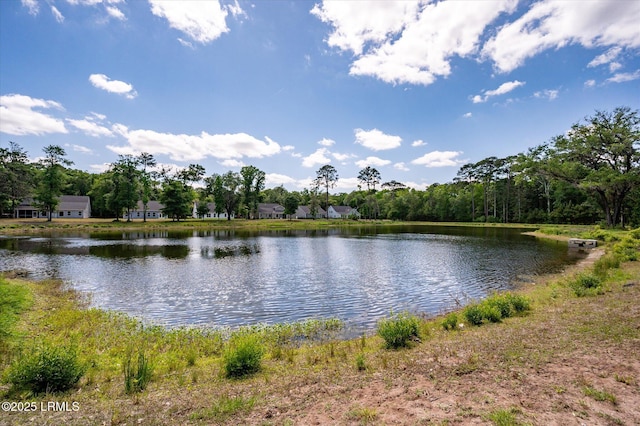 41 Fairfield Rd, Beaufort, SC 29907 - view of water feature