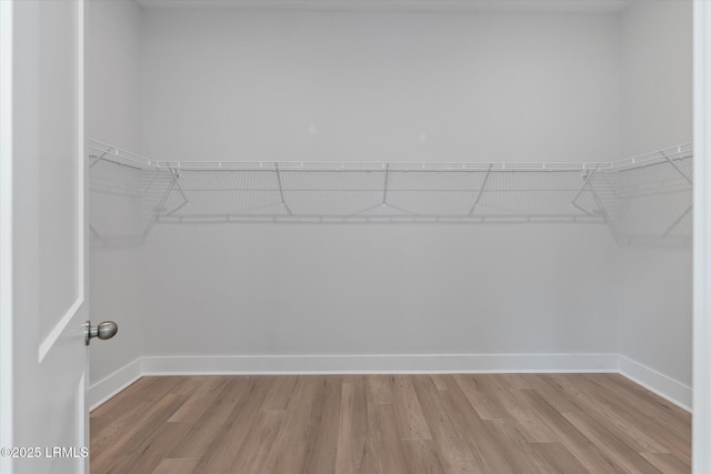 41 Fairfield Rd, Beaufort, SC 29907 - spacious closet featuring light wood-type flooring
