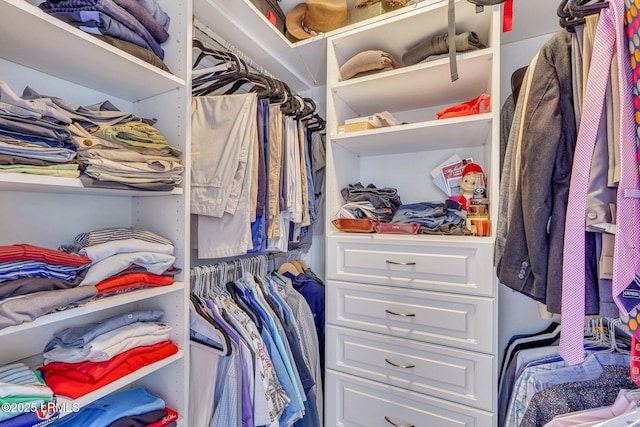 view of spacious closet