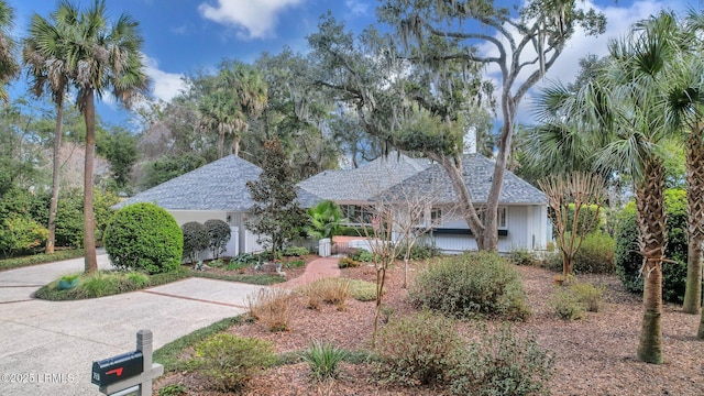 view of front of house with driveway and a shingled roof