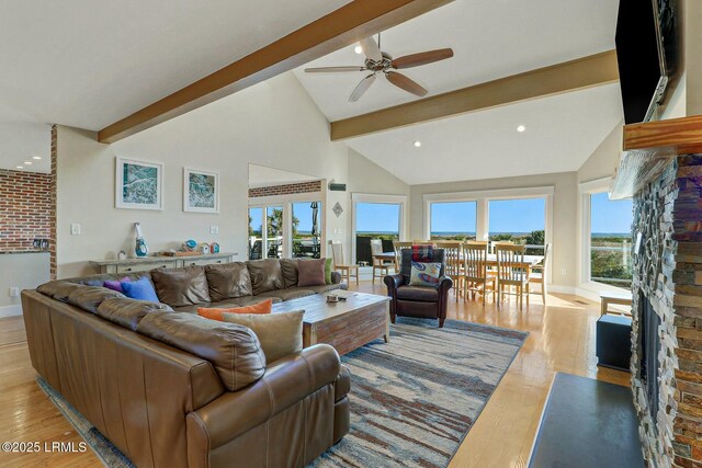 living room featuring a healthy amount of sunlight, light wood-style flooring, and beam ceiling