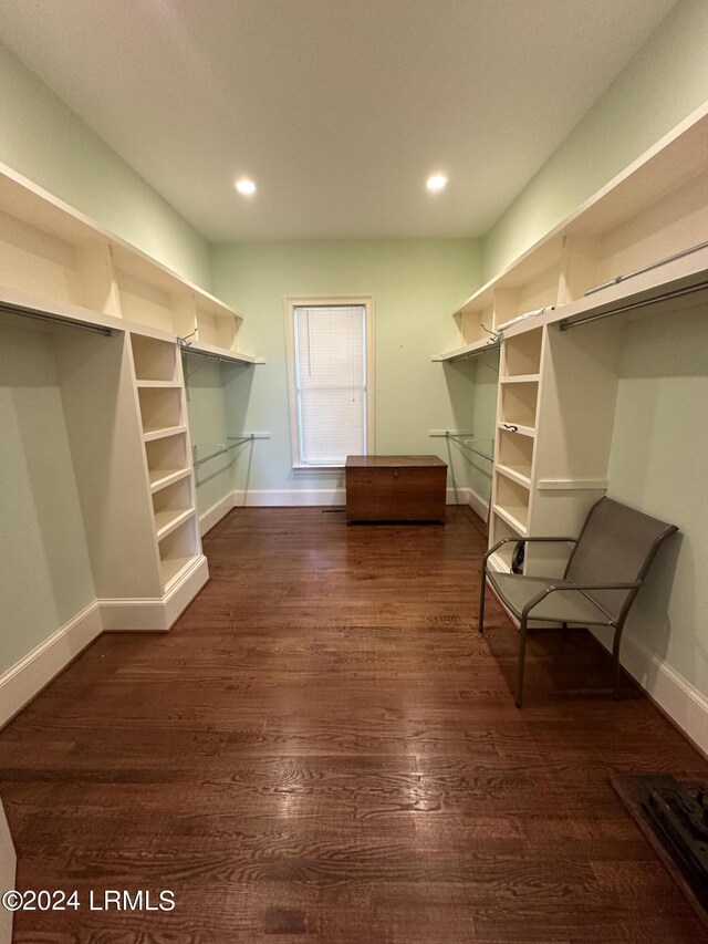 walk in closet with dark hardwood / wood-style floors