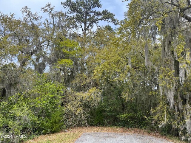 Listing photo 3 for 20 Wilderness Dr W, Beaufort SC 29907