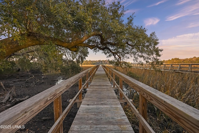 dock area featuring a rural view