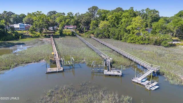 dock area featuring a water view