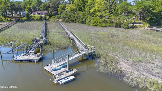 dock area with a water view