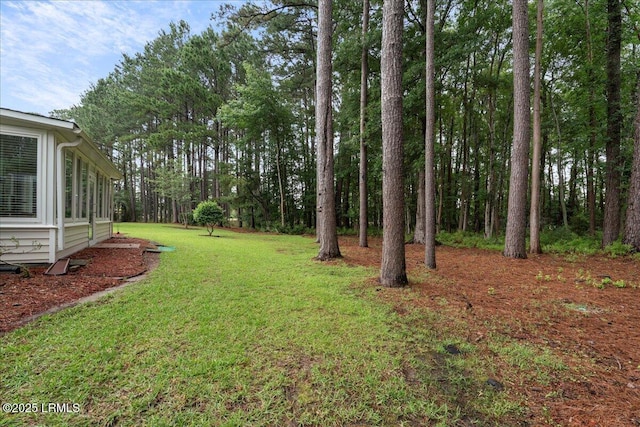 10 Screven Ct, Bluffton, SC 29909 - view of green lawn