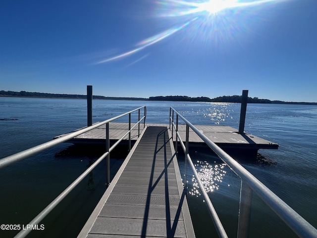 dock area with a water view