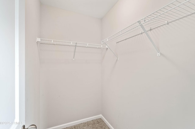23 Toxaway Ln, Beaufort, SC 29906 - spacious closet featuring carpet