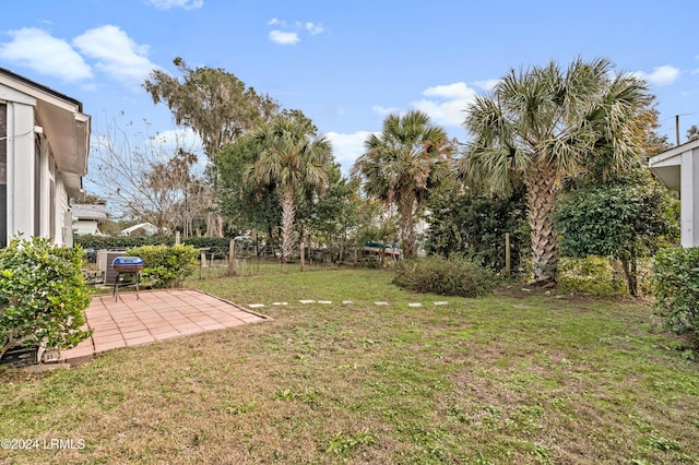 view of yard featuring a patio area