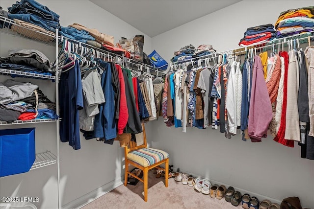 walk in closet with carpet floors