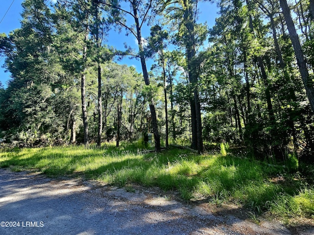 250 Haig Point Rd, Daufuskie Island SC, 29915 land for sale