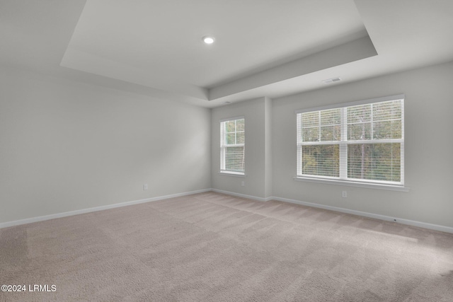 spare room featuring light carpet and a tray ceiling