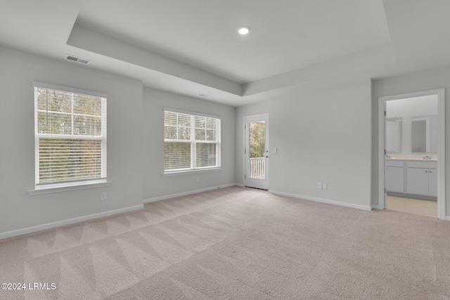 unfurnished room with plenty of natural light, a tray ceiling, and light carpet