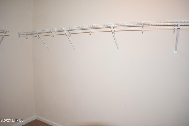 48 Pennyroyal Way, Beaufort, SC 29906 - view of spacious closet