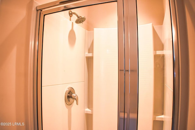 48 Pennyroyal Way, Beaufort, SC 29906 - bathroom view of an enclosed shower
