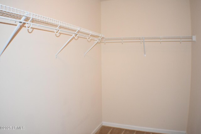48 Pennyroyal Way, Beaufort, SC 29906 - view of walk in closet