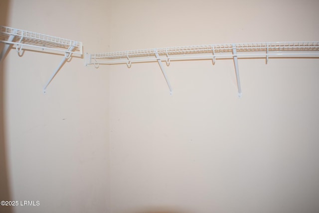 48 Pennyroyal Way, Beaufort, SC 29906 - view of spacious closet