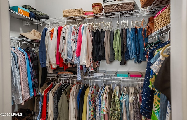 view of spacious closet