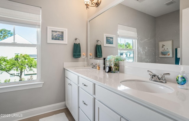 bathroom featuring vanity and a wealth of natural light