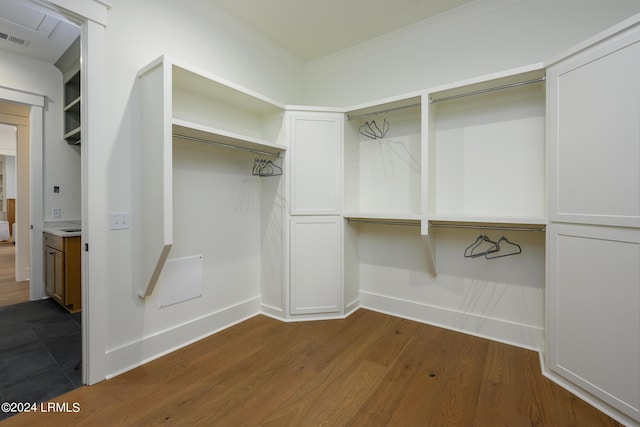 spacious closet featuring dark hardwood / wood-style floors