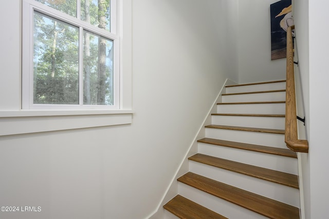 stairway featuring plenty of natural light