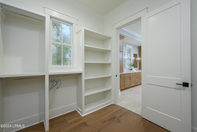 walk in closet with wood-type flooring