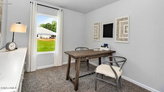 5 Veil Dr, Ridgeland, SC 29936 - home office with carpet floors