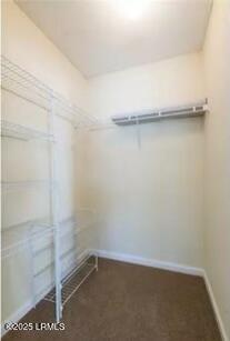 spacious closet featuring dark colored carpet