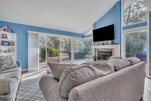 living room with hardwood / wood-style flooring, plenty of natural light, and high vaulted ceiling