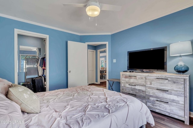 bedroom featuring dark wood-type flooring, ceiling fan, ornamental molding, and a closet