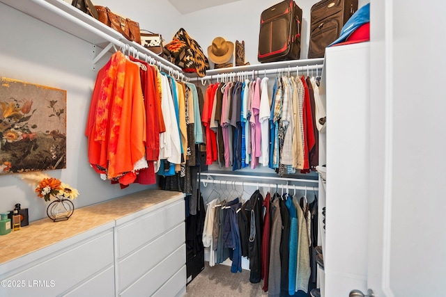 spacious closet featuring carpet flooring