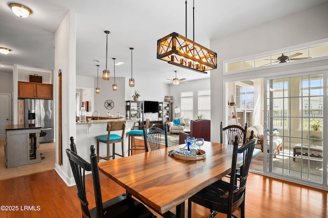 dining room featuring ceiling fan and light wood finished floors