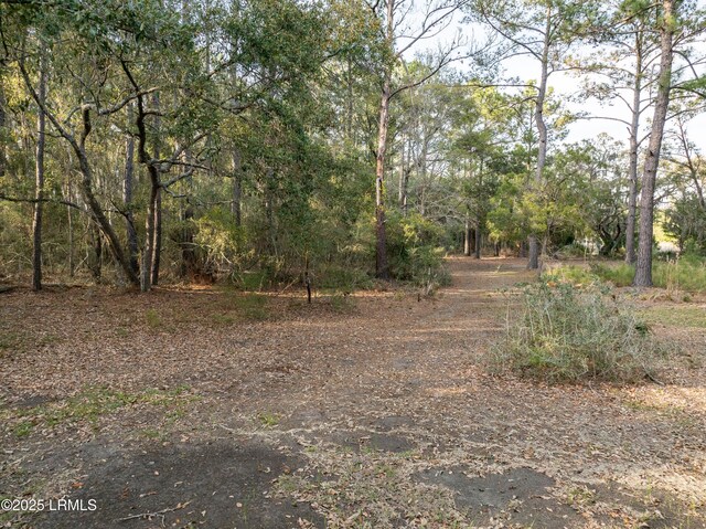 196 Polowana Rd, Saint Helena Island, SC 29920 - photo 23