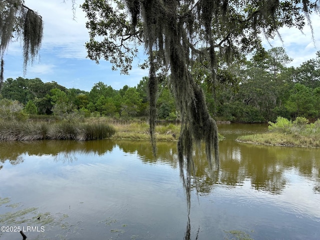 196 Polowana Rd, Saint Helena Island, SC 29920 - photo 15