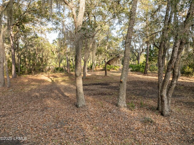 196 Polowana Rd, Saint Helena Island, SC 29920 - photo 22