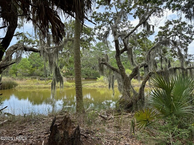 196 Polowana Rd, Saint Helena Island, SC 29920 - photo 14