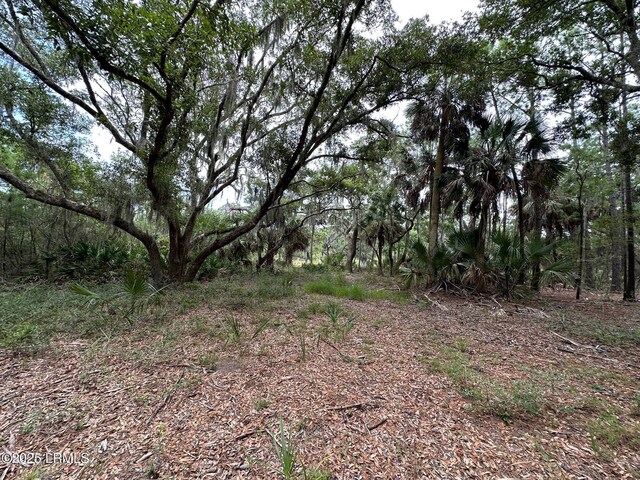 196 Polowana Rd, Saint Helena Island, SC 29920 - photo 13