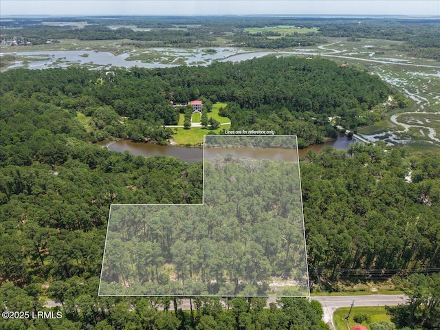 196 Polowana Rd, Saint Helena Island, SC 29920 - photo 1