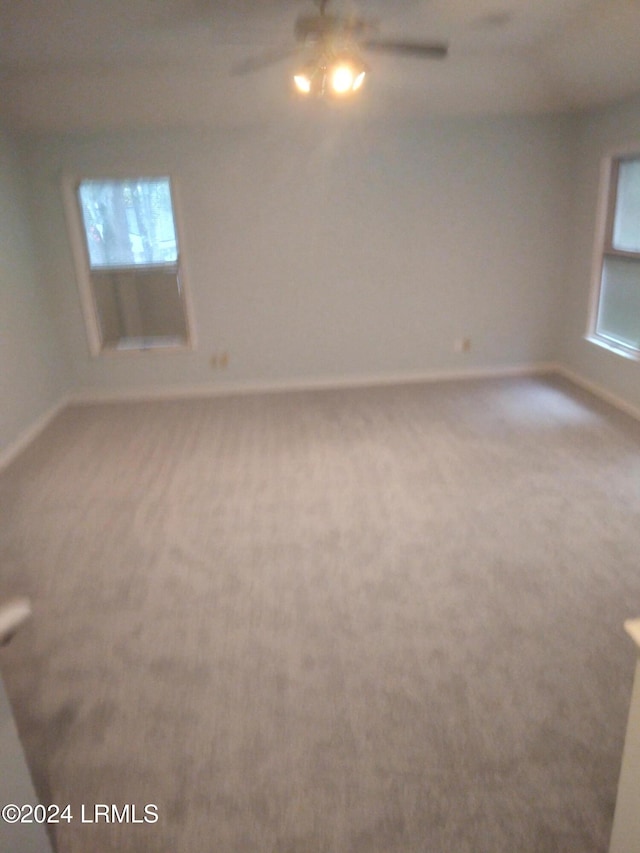 spare room with carpet, a wealth of natural light, and baseboards