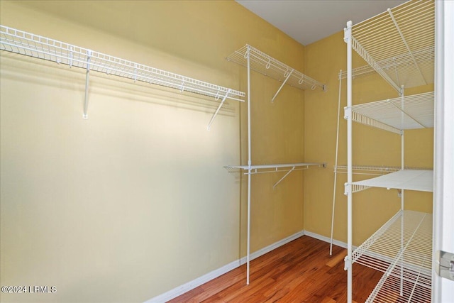 walk in closet featuring hardwood / wood-style flooring