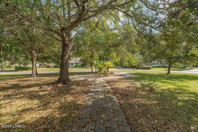 view of property's community with a yard