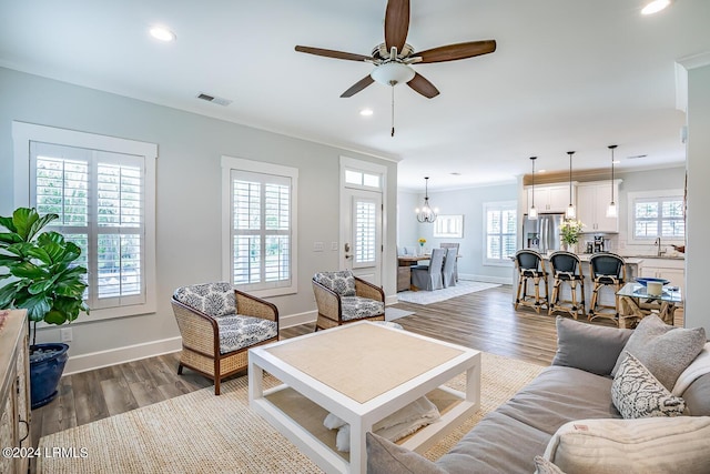 living room with sink, crown molding, a wealth of natural light, and dark hardwood / wood-style floors