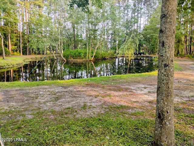 3769 Rice Shire Rd, Ridgeland, SC 29936 - view of yard with a water view