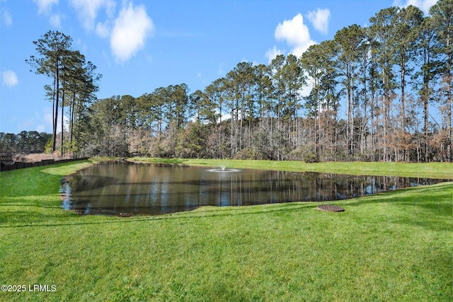 254 W Sq, Bluffton, SC 29910