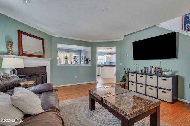 living room with ornamental molding, light hardwood / wood-style flooring, and a textured ceiling