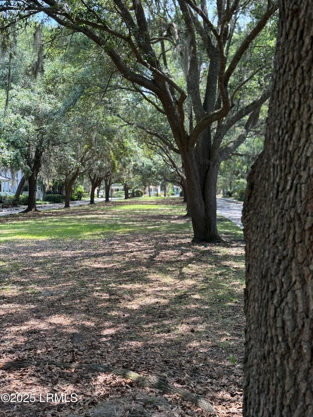2654 Broad St, Beaufort, SC 29902 - view of home's community