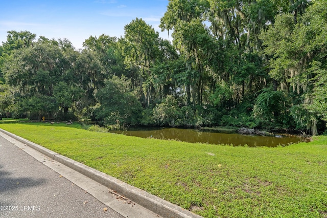 2654 Broad St, Beaufort, SC 29902 - view of green lawn with a water view