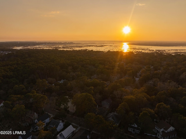 nature at dusk with a water view and a view of trees